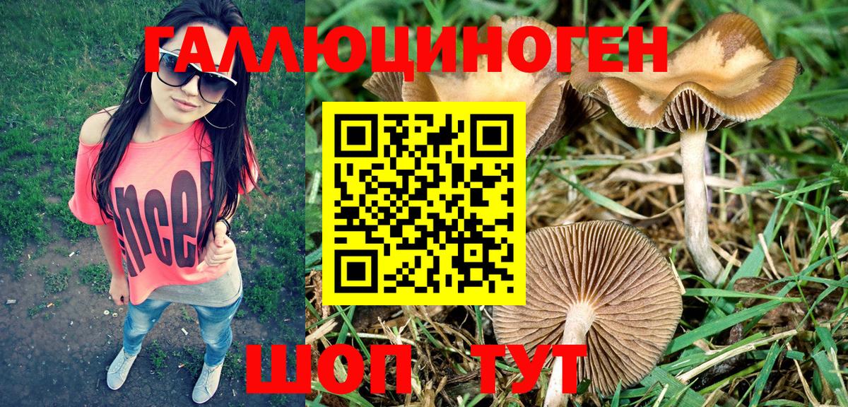 Псилоцибиновые грибы Cubensis  Вход с VPN  Ирбит 