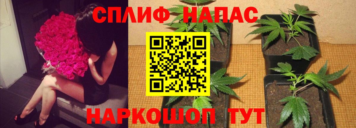 Марихуана MAZAR Ирбит